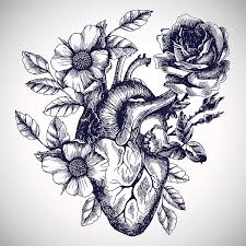 Nº of tattoos 3 size 1.2 in / 3 cm (height) the incorporation of flowers into a heart tattoo is a classic combination that can result in an intriguing, detailed design. Blooming Anatomical Human Heart Vector Puzzle For Sale By Moopsi