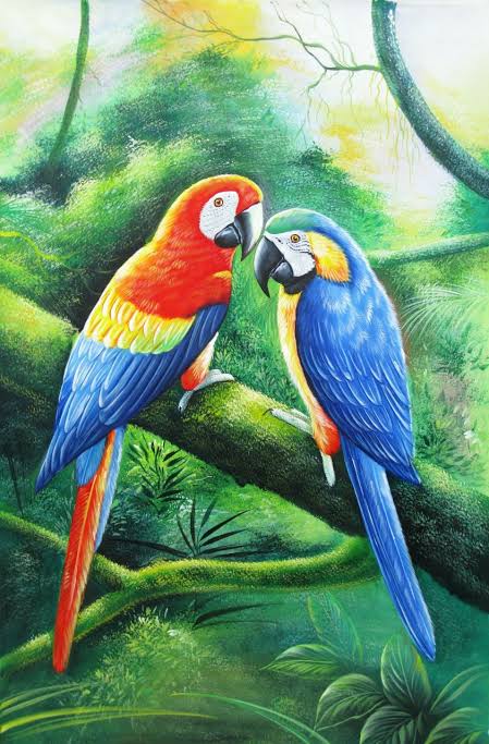 Image result for love bird pair