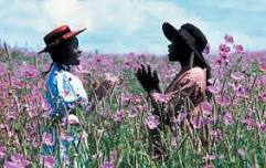 "The Color Purple" (1985) ... "Book of the Month" Movie Club