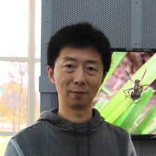 Ana Longo and Hua Yan promoted to University of Florida Associate  Professors with Tenure