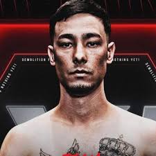 Nima Behrouz vs. Ali Haidari, HEX Fight Series 31