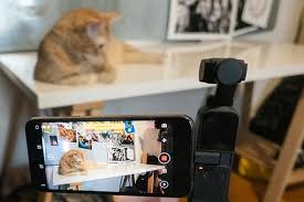 23 people have already reviewed pet pro supply co.®. Review The Dji Pocket 2 Is A Vlogging Machine You Can Take Anywhere Even In Your Pocket Digital Photography Review