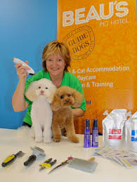 All paw spa is ferndale's ultimate pet destination! Beau S Pet Hotel