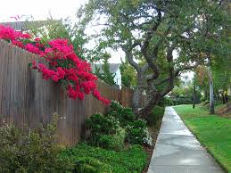 Best baby fences of 2021. Decorative Fence Trends For 2021 Fence Supply Online