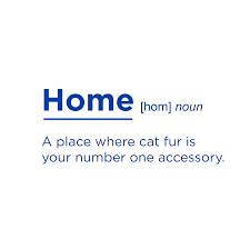 Home Definition In 2020 Definitions Nouns Social