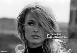 430 Sharon Thompson Stock Photos, High-Res Pictures, and Images