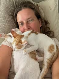 Kittens looking for fur-ever homes in Portugal