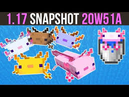 There are different color variations which are leucistic (pink with dark pink frills), wild (brown with dark brown frills), cyan (has pink frills), gold, and a rare blue one with orange frills that has a 1/1200 chance of spawning. Minecraft 1 17 Snapshot 20w51a The Axolotl Has Arrived Youtube Axolotl Minecraft 1 Minecraft