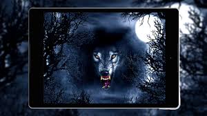 | see more beautiful wolf wallpapers, awesome wolf looking for the best wolf wallpaper? Download Black Wolf Wallpaper Hd Free For Android Black Wolf Wallpaper Hd Apk Download Steprimo Com