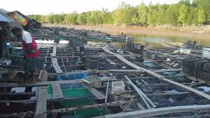 Fishing is a very popular recreational activity in the u.s., so if you're a fish farmer, you can start accepting visitors to fish in your ponds or lakes. Seafood And Fish Farm Takemetour