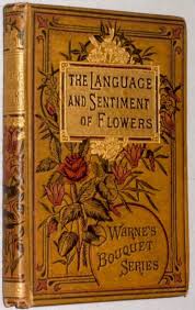 Beautiful Book Cover Vintage Book Covers Book Cover Antique Books