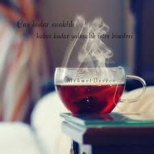 Çay kimi zaman gelir üzüntülerinize ortak olur, kimi zaman gelir sevinçlerinizin baş köşesine kurulur. Bilirsinizki Insani Etkiyelen En Guzel Duygu Dusunceler Yazilarin Derinligine Anlam Katan Sozlerdir Cay Ile Ilgili Sozler Tum Tea Art Red Tea Alcoholic Drinks