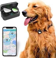 The battery life is six months and can. Amazon Com Petfon Pet Gps Tracker No Monthly Fee Real Time Tracking Collar Device App Control For Dogs And Pets Activity Monitor Pet Supplies