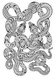 Mandala is a sanskrit word that in colloquial terms refers to an intricate geometric shape in a primarily circular orientation. Mandala Snake Drawing Snake Drawing
