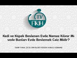 Kedi Ve Kopek Beslenen Evde Namaz Kilinir Mi Vede Bunlari Evde Beslemek Caiz Midir Tahir Tural Youtube