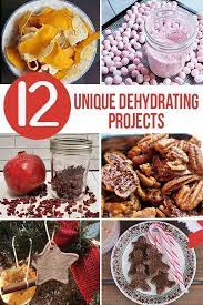 12 Unique Dehydrating Projects To Try Dehydrator Recipes Dehydrator Dehydrated Food