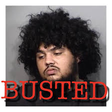 Brevard County Sheriff's Office, Florida (Official)