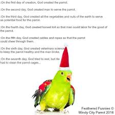 Bird That Sounds Like A Car Alarm Uk Pin On Bird Posters