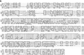 An lp model could yield the following, excepting. Requirement For Atr In Phosphorylation Of Chk1 And Cell Cycle Regulation In Response To Dna Replication Blocks And Uv Damaged Dna In Xenopus Egg Extracts Abstract Europe Pmc