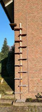 pin von marsha brunjes auf cats katzen treppe katzentreppe katzenleiter