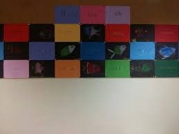 Lisa Schumm (lisaschumm1451)