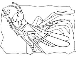 Children love to know how and why things wor. Grasshopper Coloring Pages And Printable Activities