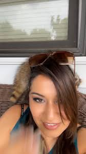 Mapache domesticado 😍, Lindo ✨