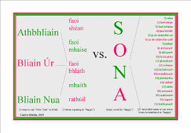 It's a funny thing about life, once you begin to take note of the things you are grateful for, you begin to lose sight of the things that you lack. Frasai An Tseasuir In Irish Sona Or Not Sona Happy Or Not Happy Irish Language Blog