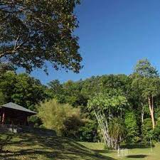 Penang bridge (jambatan pulau pinang). Taman Botani Pulau Pinang Others Hot Spot Travel