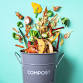 Backyard Composting