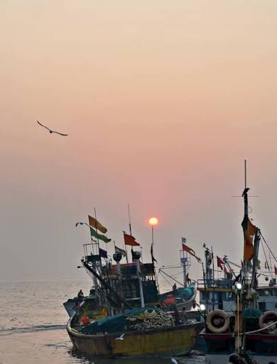 ⛵️Sassoon Dock 🦐 . Sassoon Docks, built in 1875, is one of the oldest docks in Mumbai and was the first wet dock constructed in Bombay.It is one of the few docks