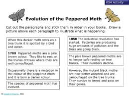 Perfect introduction to natural selection. A Peppered Moth Activity