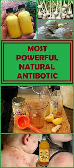 The Most Powerful Natural Antibiotic Natural Antibiotics Herbalism Cold Home Remedies