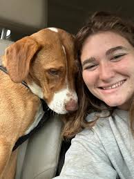 Phoenix the foster dog adoption story