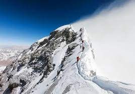 He was eliminated in week 6. Chilean Mountaineer Achieves A Guinness Record On 2 Of The Highest Peaks In The World Snowbrains