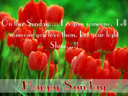Happy Sunday Happy Sunday Quotes Sunday Quotes Happy Sunday Flowers