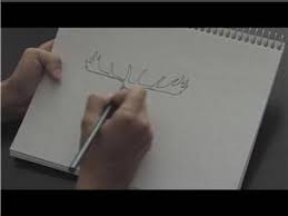How To Draw How To Draw Deer Antlers Youtube