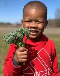 Sand County Foundation