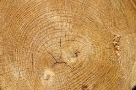 Professor willard libby produced the first radiocarbon dates. How Does Radiocarbon 14 Dating Work Environmentalscience Org