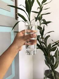 You're kidneys do that everyday. I Tried The Salt Water Cleanse Here S What It Did For Me Seventeen James