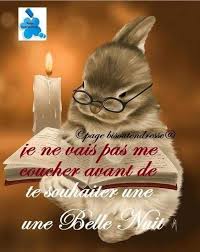 Epingle Par Francoise Sercu Sur Meli Melo Image Bonne Nuit Bonne Nuit Bisous Citation Bonne Nuit