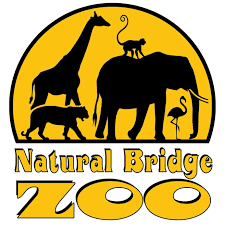 229 safari lane, natural bridge, va 24578, phone: Natural Bridge Zoo Startseite Facebook