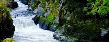 The latest gifs for #river. Gif Purity Flowing Water Natureza Animated Gif On Gifer By Nisho