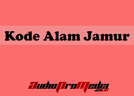 We did not find results for: Kode Alam Jamur 2d 3d 4d Menurut Erek Erek Dan Primbon Jawa