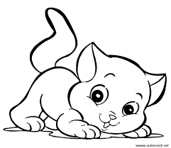 pin on cat kitty party