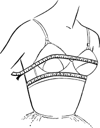 bra size wikiwand