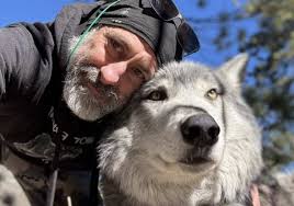 Debunking the Alpha Myth: Find out the Truth About Wolfpacks (Family)