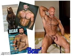 Ten Gay Porn Stars And Their Ten Gay Body Types - TheSword.com