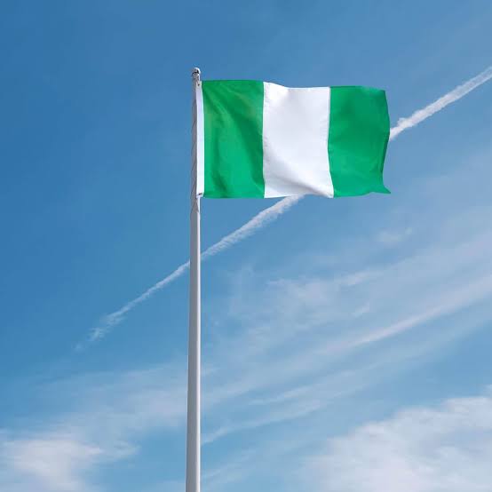 EverStrong Embroidered Nigeria Flag 3x5 Foot