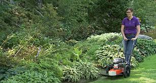 Delivery 7 days a week. Trimmer Mower 6 75 Briggs And Stratton String Trimmer Dr Power Equipment